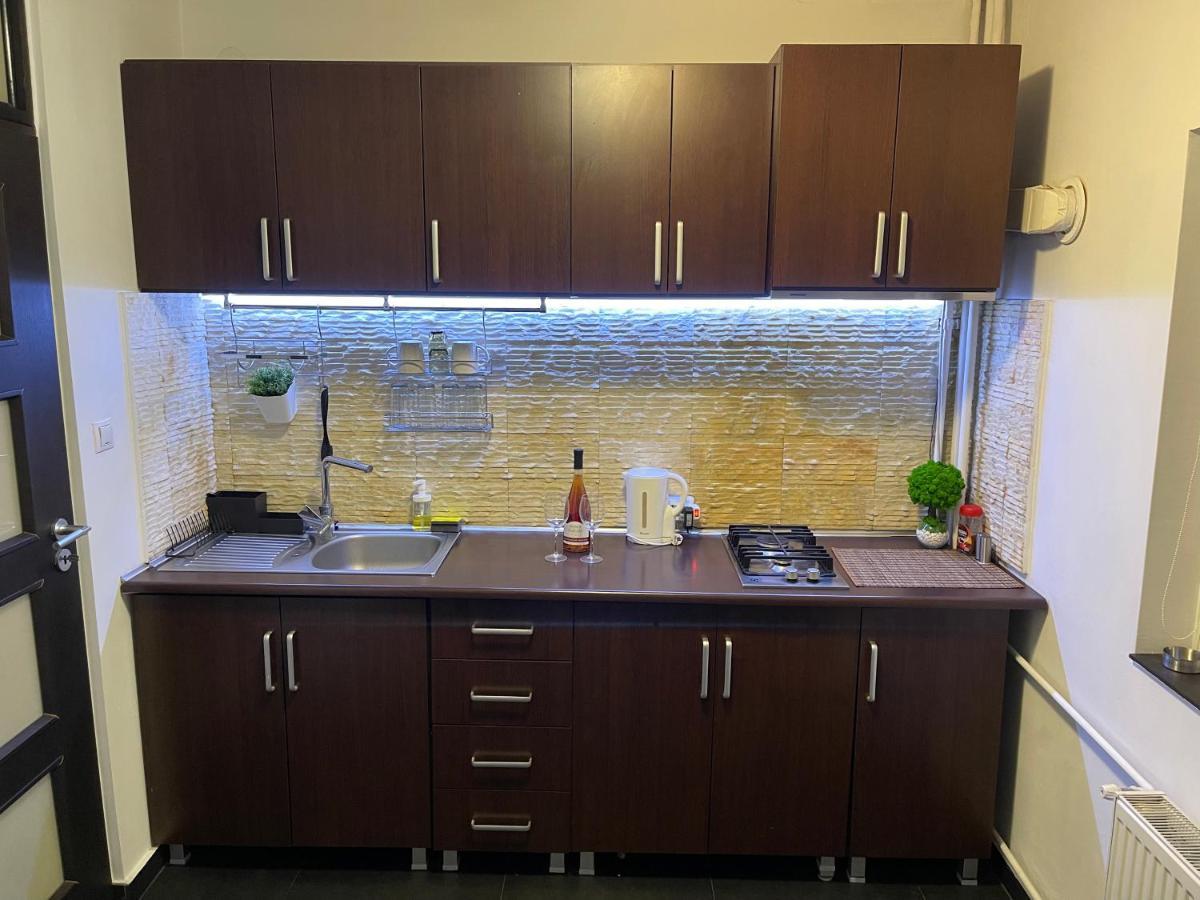 Turqoise Luxury Near Unirii Square Apartment